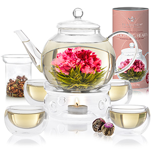 Teabloom glass teapots