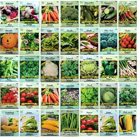 35 Packs Sachets Vegetable & Herb Varieties Heirloom Seeds Packets Over 4000 +Seeds 100% Non-GMO. Grown N Produced in USA. Sachets de graines potagères (35)