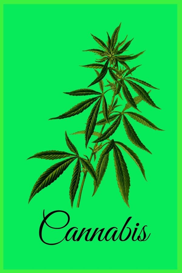 Cannabis: weed lovers gifts - Weed Lover Smoker Friend Stoner Gift Birthday