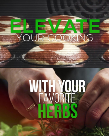 Elevate Your Cooking with Your Favorite Herbs