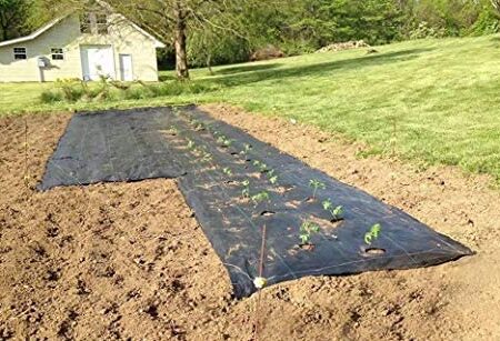 Weed Control Fabric Planting Holes,Ground Cover Weed Barrier Easy-Plant Weed Block for Raised Bed Outdoor Garden Weed Rugs Garden mat,3ftx12ft
